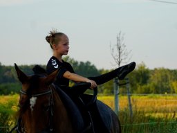 _dsc1256