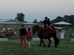 _dsc1543
